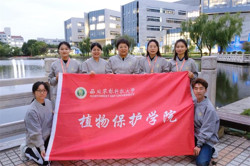 800糖心vlog
在中国国际大学生创新大赛荣获金奖.jpg