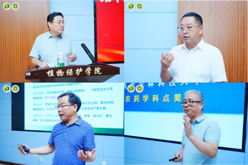 800主题报告.jpg